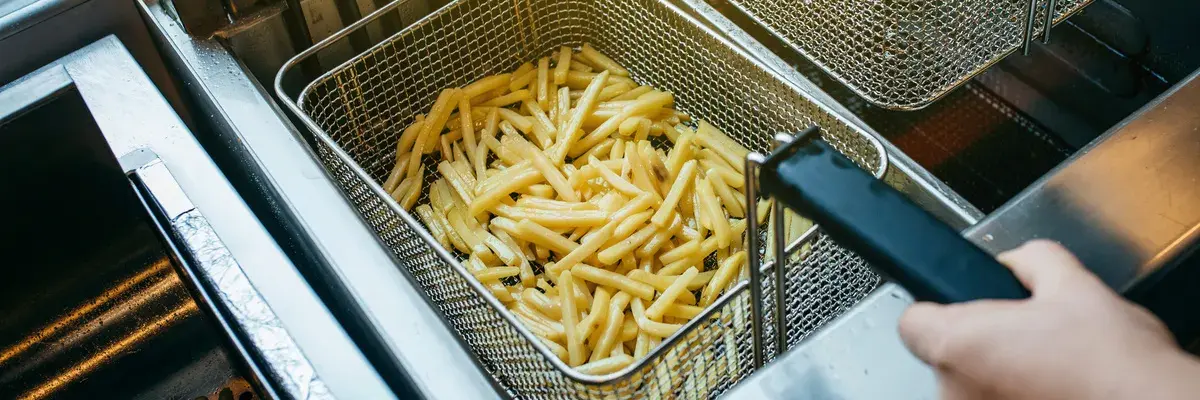 friteuse professionnelle