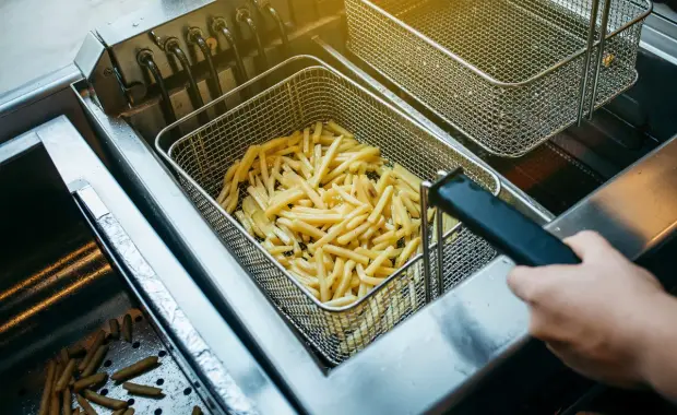friteuse professionnelle