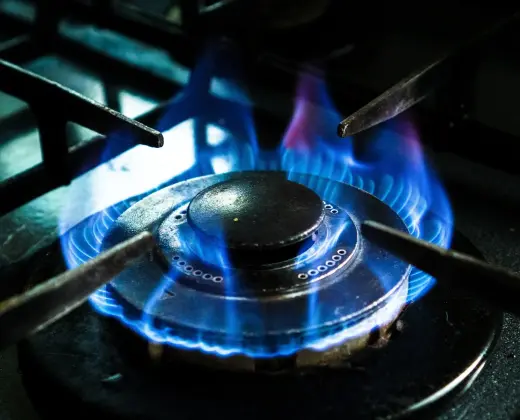 Cuisson chaude , fours professionnels